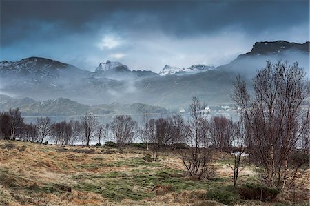 simsearch:6113-09131441,k - Fog around calm, rugged mountains, Andopen, Lofoten, Norway Stockbilder - Premium RF Lizenzfrei, Bildnummer: 6113-09058830