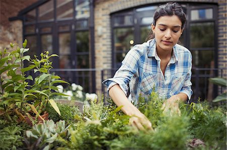 Young woman gardening, checking plants on patio Stock Photo - Premium Royalty-Free, Code: 6113-09059296