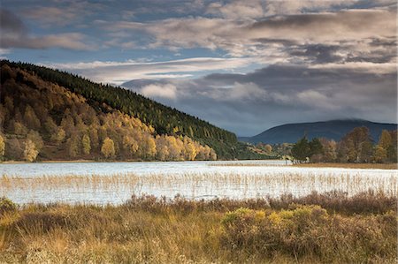 Tranquil, idyllic landscape with autumn hills and lake, Loch Pityoulish, Aviemore, Scotland Foto de stock - Sin royalties Premium, Código: 6113-09157767