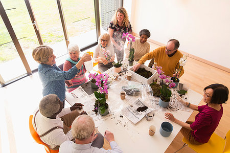 Active seniors enjoying flower arranging class Stock Photo - Premium Royalty-Free, Code: 6113-09191860