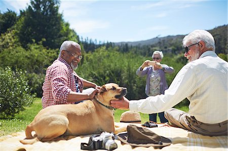 simsearch:841-05848683,k - Senior men friends petting dog on sunny summer picnic blanket Foto de stock - Sin royalties Premium, Código: 6113-09131519