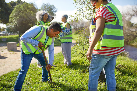 simsearch:6111-06838267,k - Volunteers planting trees in sunny park Fotografie stock - Premium Royalty-Free, Codice: 6113-09240191