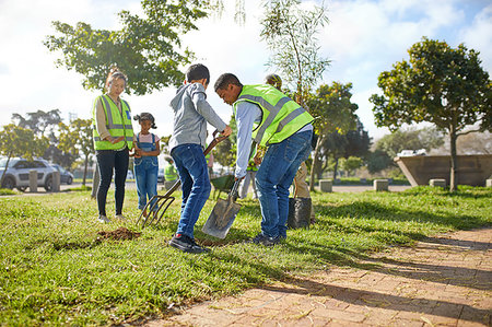 simsearch:6113-09240262,k - Volunteers planting trees in sunny park Foto de stock - Royalty Free Premium, Número: 6113-09240195