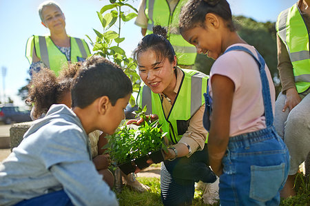 simsearch:6113-09240262,k - Woman and children volunteers planting herbs in sunny park Foto de stock - Royalty Free Premium, Número: 6113-09240245