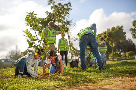 simsearch:6113-09240280,k - Volunteers planting trees in sunny park Foto de stock - Sin royalties Premium, Código: 6113-09240267
