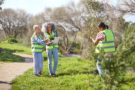 Female volunteers planting tree and plants in sunny park Photographie de stock - Premium Libres de Droits, Code: 6113-09240273