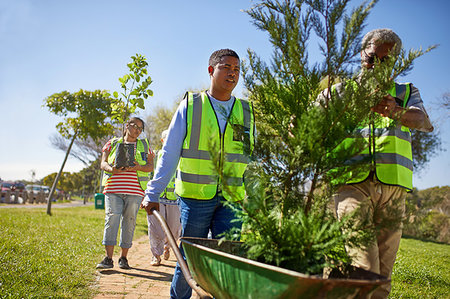 Volunteers planting trees in sunny park Stock Photo - Premium Royalty-Free, Code: 6113-09240239