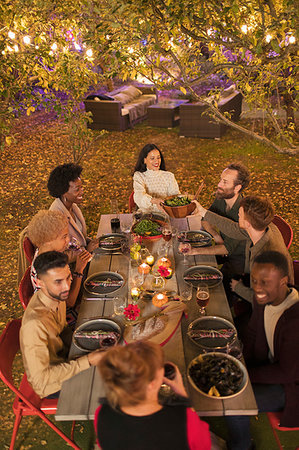 Friends enjoying dinner garden party Photographie de stock - Premium Libres de Droits, Code: 6113-09241436