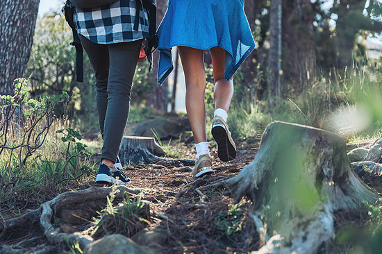 Female hikers on trail in woods Stock Photo - Premium Royalty-Free, Image code: 6113-09272743