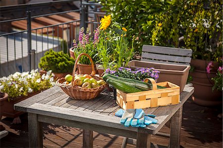 summer squash - Fresh Vegetable and Fruits On Balcony, Munich, Bavaria, Germany, Europe Stock Photo - Premium Royalty-Free, Code: 6115-06778645