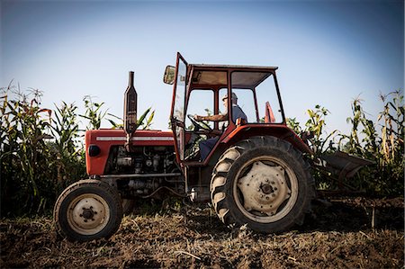 farmer looks up - Farmer In Tractor Ploughing Field, Croatia, Slavonia, Europe Stock Photo - Premium Royalty-Free, Code: 6115-06778688