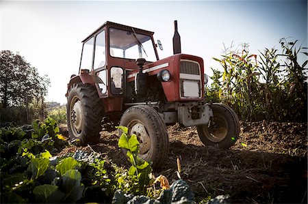 Tractor In Field, Croatia, Slavonia, Europe Stock Photo - Premium Royalty-Free, Code: 6115-06778689