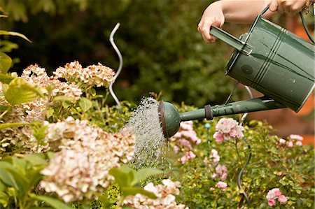 simsearch:6115-06778642,k - Person watering flowers in the garden, Munich, Bavaria, Germany Stock Photo - Premium Royalty-Free, Code: 6115-06778637