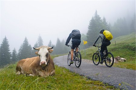 sports humor - Mountain Bikers, Schwangau-Bleckenau, Bavaria, Germany Stock Photo - Premium Royalty-Free, Code: 6115-06778878