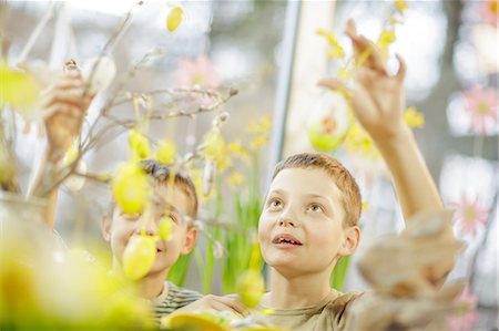 Boys Hanging Easter Decoration, Osijek, Croatia, Europe Stock Photo - Premium Royalty-Free, Code: 6115-06778993