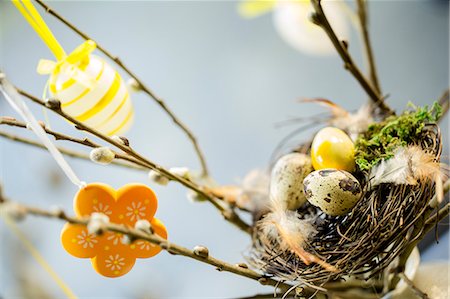 quail egg - Easter Basket, Osijek, Croatia, Europe Stock Photo - Premium Royalty-Free, Code: 6115-06779010