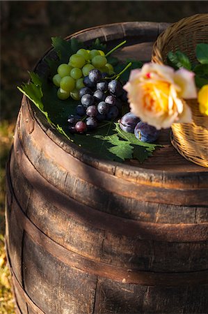 simsearch:6115-06732935,k - Grapes And Flowers On Barrel, Croatia, Slavonia, Europe Foto de stock - Sin royalties Premium, Código: 6115-06732952