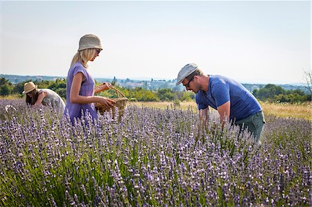 Three People In Lavender Field, Croatia, Dalmatia, Europe Foto de stock - Sin royalties Premium, Código: 6115-06732988