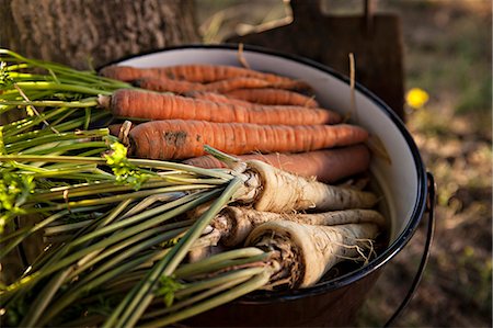 Fresh Vegetables, Croatia, Slavonia, Europe Foto de stock - Sin royalties Premium, Código: 6115-06732928