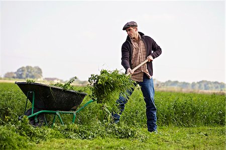 Man Working On Field, Baranja, Croatia, Europe Foto de stock - Sin royalties Premium, Código: 6115-06733044