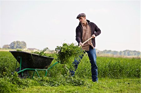 Man Working On Field, Baranja, Croatia, Europe Photographie de stock - Premium Libres de Droits, Code: 6115-06733044