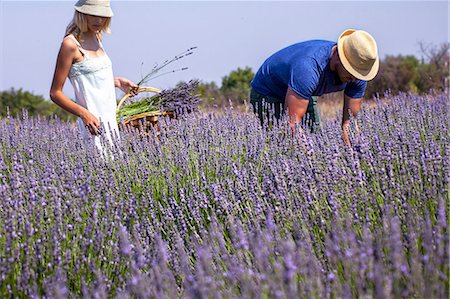 Young Couple In Lavender Field, Croatia, Dalmatia, Europe Foto de stock - Sin royalties Premium, Código: 6115-06733008