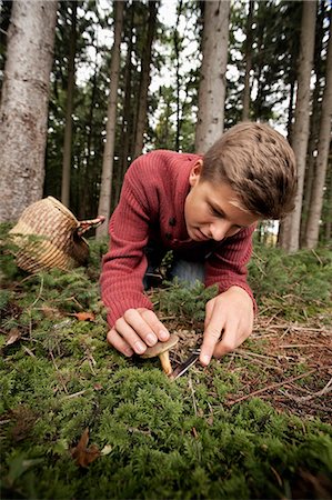 picking - Teenage boy picking mushrooms, Bavaria, Germany, Europe Photographie de stock - Premium Libres de Droits, Code: 6115-06967154