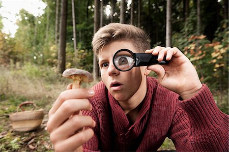 people searching forest - Teenage boy looking at mushroom through magnifying glass, Bavaria, Germany, Europe Stock Photo - Premium Royalty-Free, Code: 6115-06967158