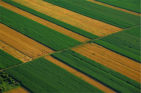 fields crops cultivation - Aerial View, Farm Land, Croatia, Slavonia, Europe Stock Photo - Premium Royalty-Free, Code: 6115-06967247