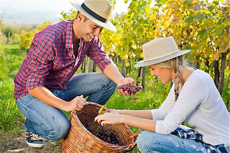 simsearch:6115-08416362,k - Grape harvest, young couple checking grapes, Slavonia, Croatia Foto de stock - Sin royalties Premium, Código: 6115-07282913