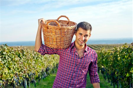 Grape harvest, young man carrying basket with grapes, Slavonia, Croatia Stock Photo - Premium Royalty-Free, Code: 6115-07282918