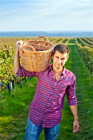 Grape harvest, young man carrying basket with grapes, Slavonia, Croatia Foto de stock - Sin royalties Premium, Código: 6115-07282919