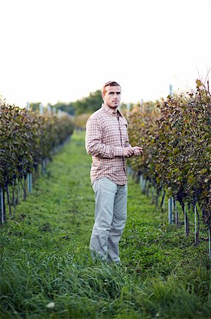 farmer landscape - Young Man In Vineyard, Croatia, Europe Stock Photo - Premium Royalty-Free, Code: 6115-07539601