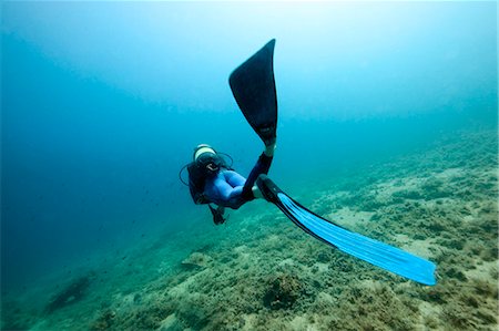 Diving, Adriatic Sea, Croatia, Europe Foto de stock - Sin royalties Premium, Código: 6115-07539841