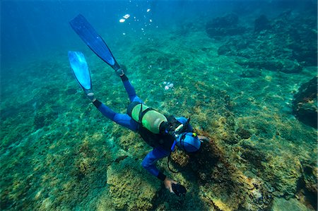 Diving, Adriatic Sea, Croatia, Europe Stockbilder - Premium RF Lizenzfrei, Bildnummer: 6115-07539849