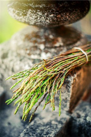 Wild Asparagus Photographie de stock - Premium Libres de Droits, Code: 6115-07539860