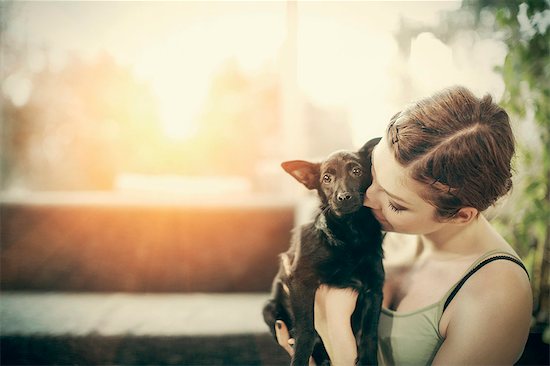 Young woman playing with pet dog at home Stock Photo - Premium Royalty-Free, Image code: 6115-08066487