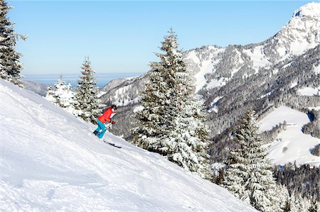simsearch:6115-08149365,k - Ski holiday, Woman skiing downhill, Sudelfeld, Bavaria, Germany Photographie de stock - Premium Libres de Droits, Code: 6115-08149302