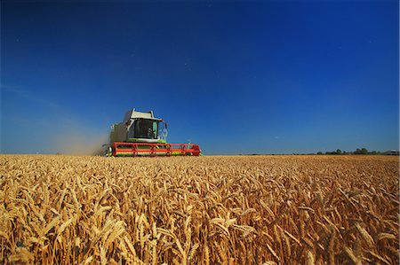 Combine harvester in field, Slavonia, Croatia Photographie de stock - Premium Libres de Droits, Code: 6115-08149475