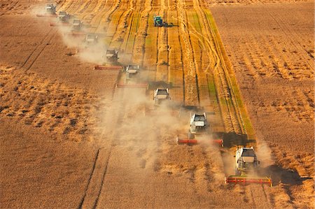 Harvesting with combine harvesters, Slavonia, Croatia Stock Photo - Premium Royalty-Free, Code: 6115-08149487