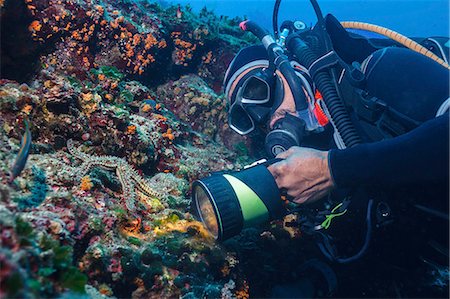 Scuba diver exploring sea life, Adriatic Sea, Dalmatia, Croatia Photographie de stock - Premium Libres de Droits, Code: 6115-08149555