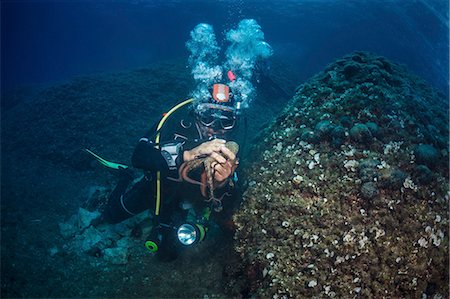 Scuba diver exploring sea life, Adriatic Sea, Dalmatia, Croatia Stock Photo - Premium Royalty-Free, Code: 6115-08149515