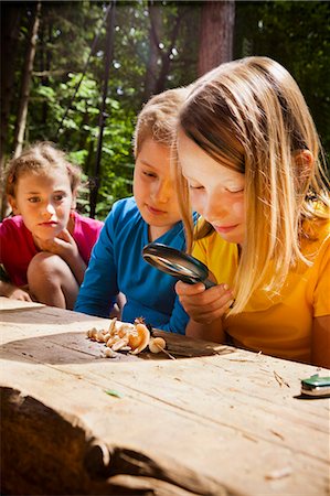 education camp - Children learning in a forest camp, Munich, Bavaria, Germany Stock Photo - Premium Royalty-Free, Code: 6115-08100823