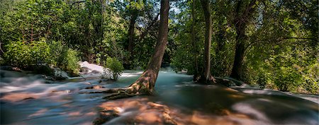 simsearch:6113-08088340,k - River and woodland in Krka National Park, Croatia Stock Photo - Premium Royalty-Free, Code: 6115-08101293