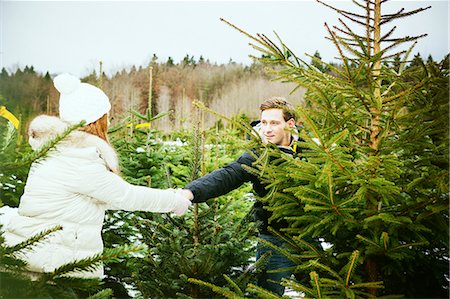 Young couple searching for the perfect Christmas tree Stock Photo - Premium Royalty-Free, Code: 6115-08104922