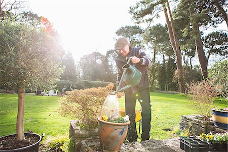 study in a home - Senior man watering flowers in garden, Bournemouth, County Dorset, UK, Europe Stock Photo - Premium Royalty-Free, Code: 6115-08105143