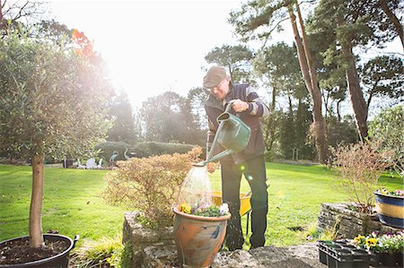 south west england - Senior man watering flowers in garden, Bournemouth, County Dorset, UK, Europe Stock Photo - Premium Royalty-Free, Code: 6115-08105143