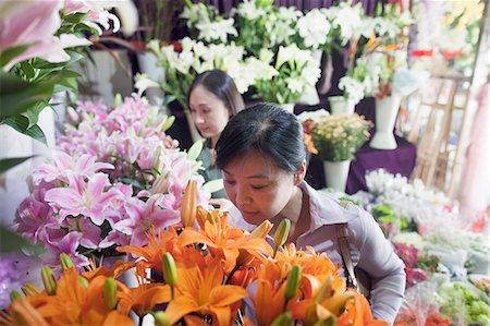 flor blanca - Two Mature women Looking At Flowers In Flower Shop Foto de stock - Sin royalties Premium, Código: 6116-06938959