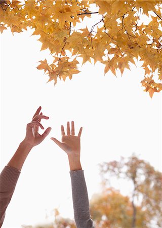 reaching for leaves - Young Couple Reaching for Gingko Leaves Stock Photo - Premium Royalty-Free, Code: 6116-07084611