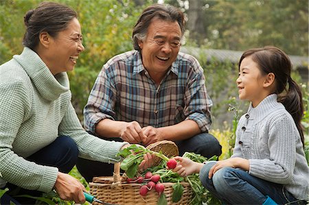 simsearch:6116-07086068,k - Grandparents and granddaughter in garden Foto de stock - Sin royalties Premium, Código: 6116-07085999